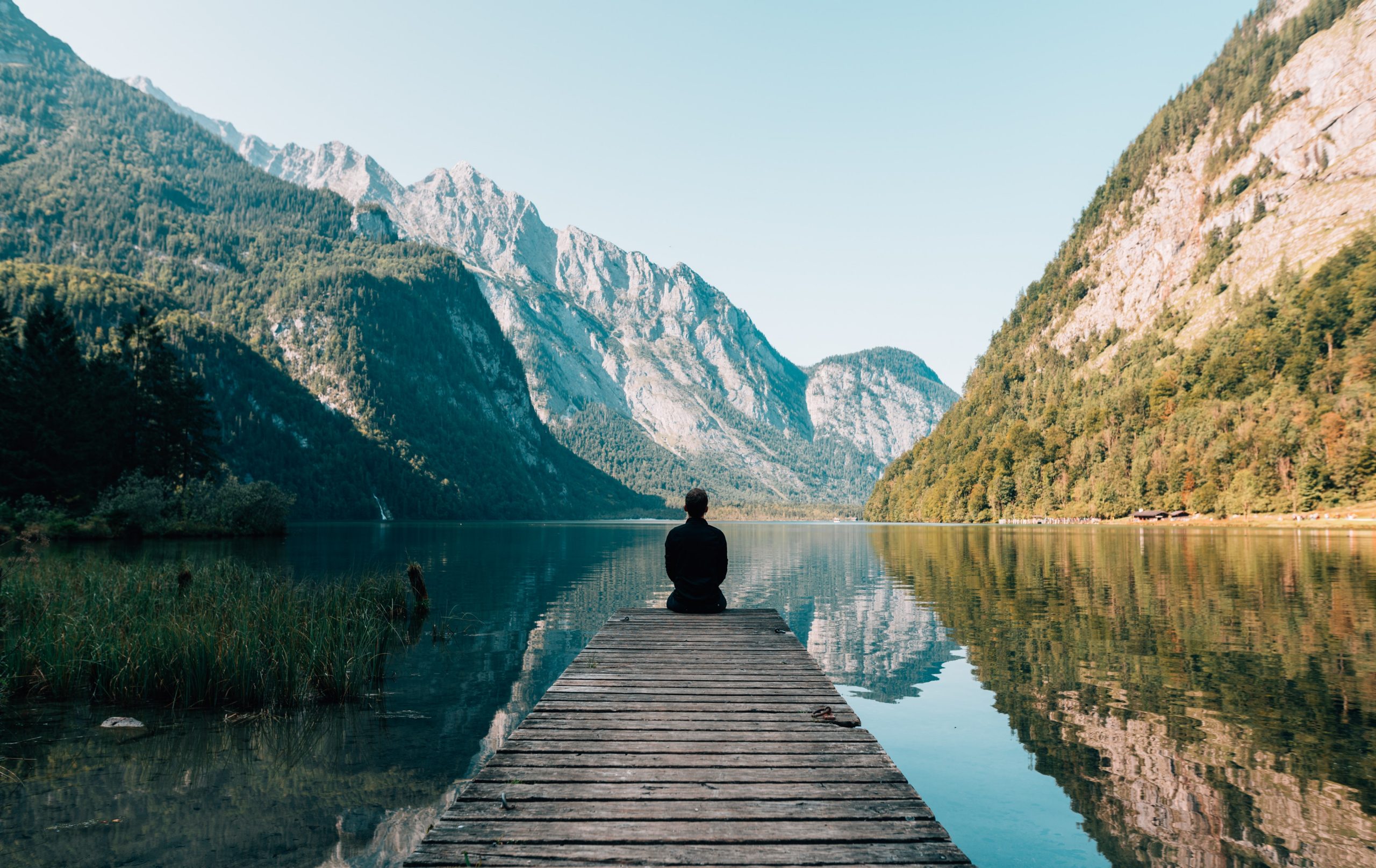 photo d'homme face à la nature